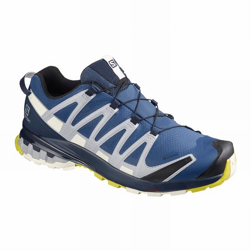 Salomon Singapore Mens Hiking Shoes - XA PRO 3D V8 GORE-TEX Navy | 62937-AFNY